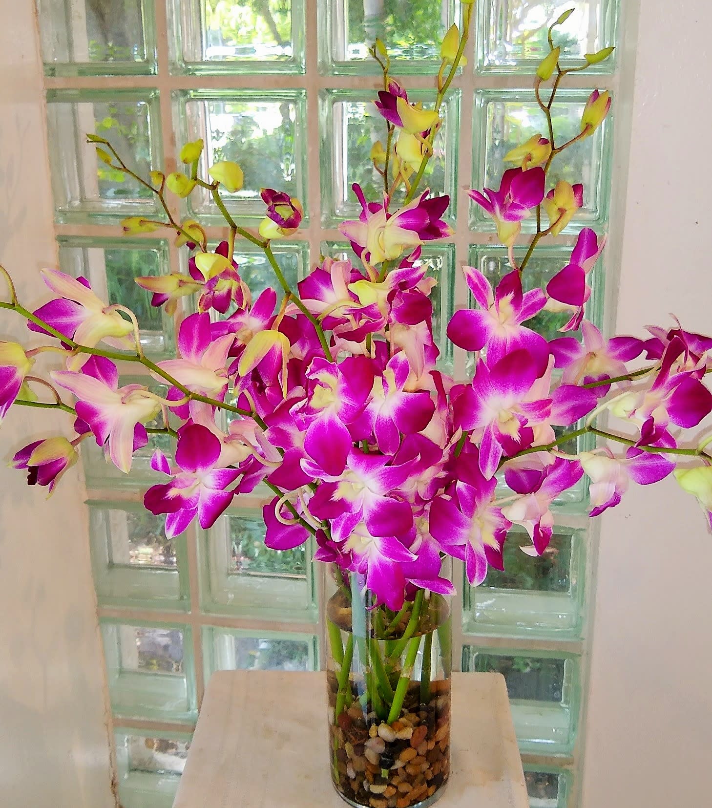 Super Pacific Paradise - You'll be swimming in an ocean of beautiful orchids!   Your choice of fuchsia (as shown) or white (let us know if you want the white).