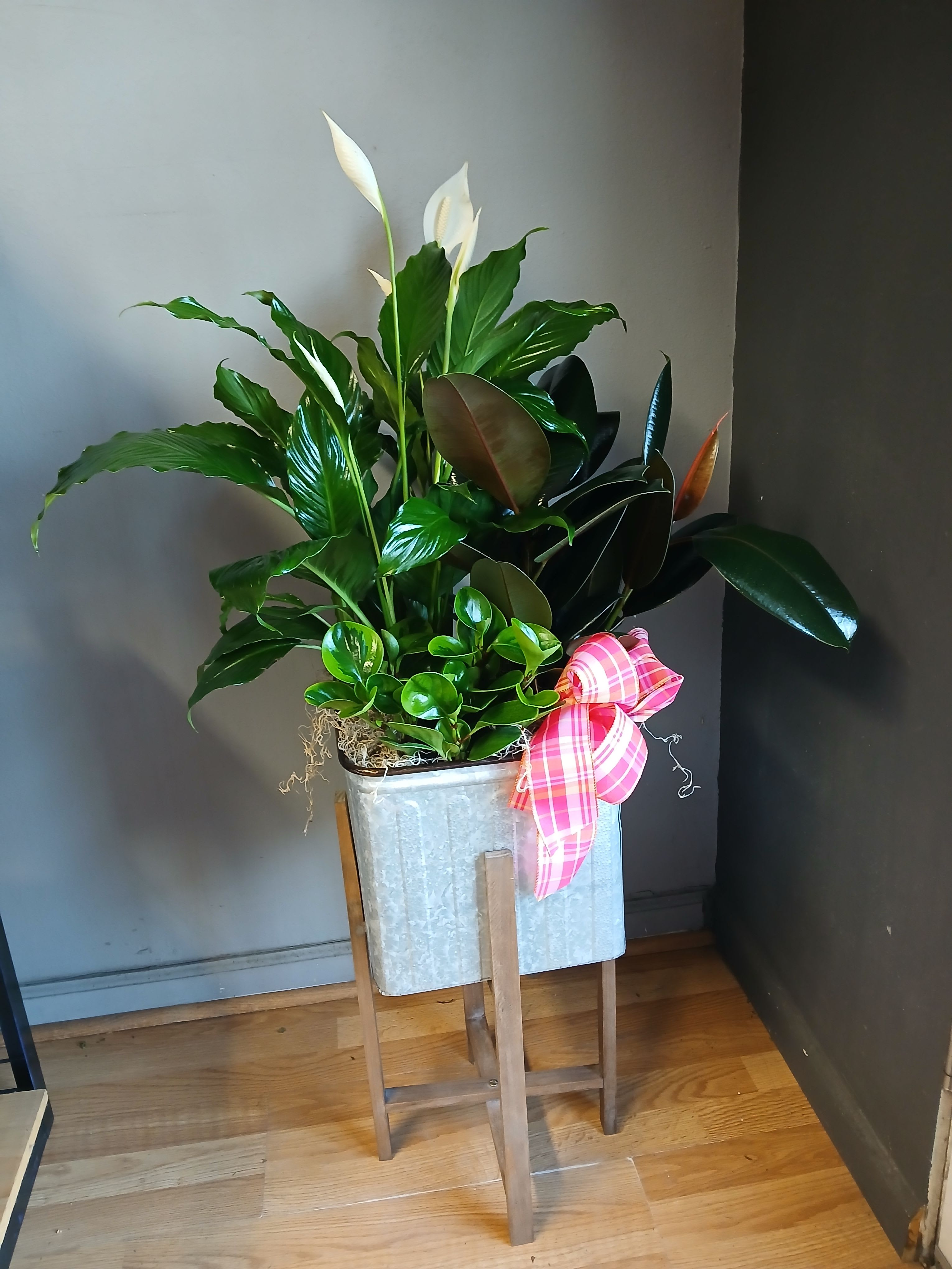 Large mixed plant box - Large raided box filled with blooming g greens