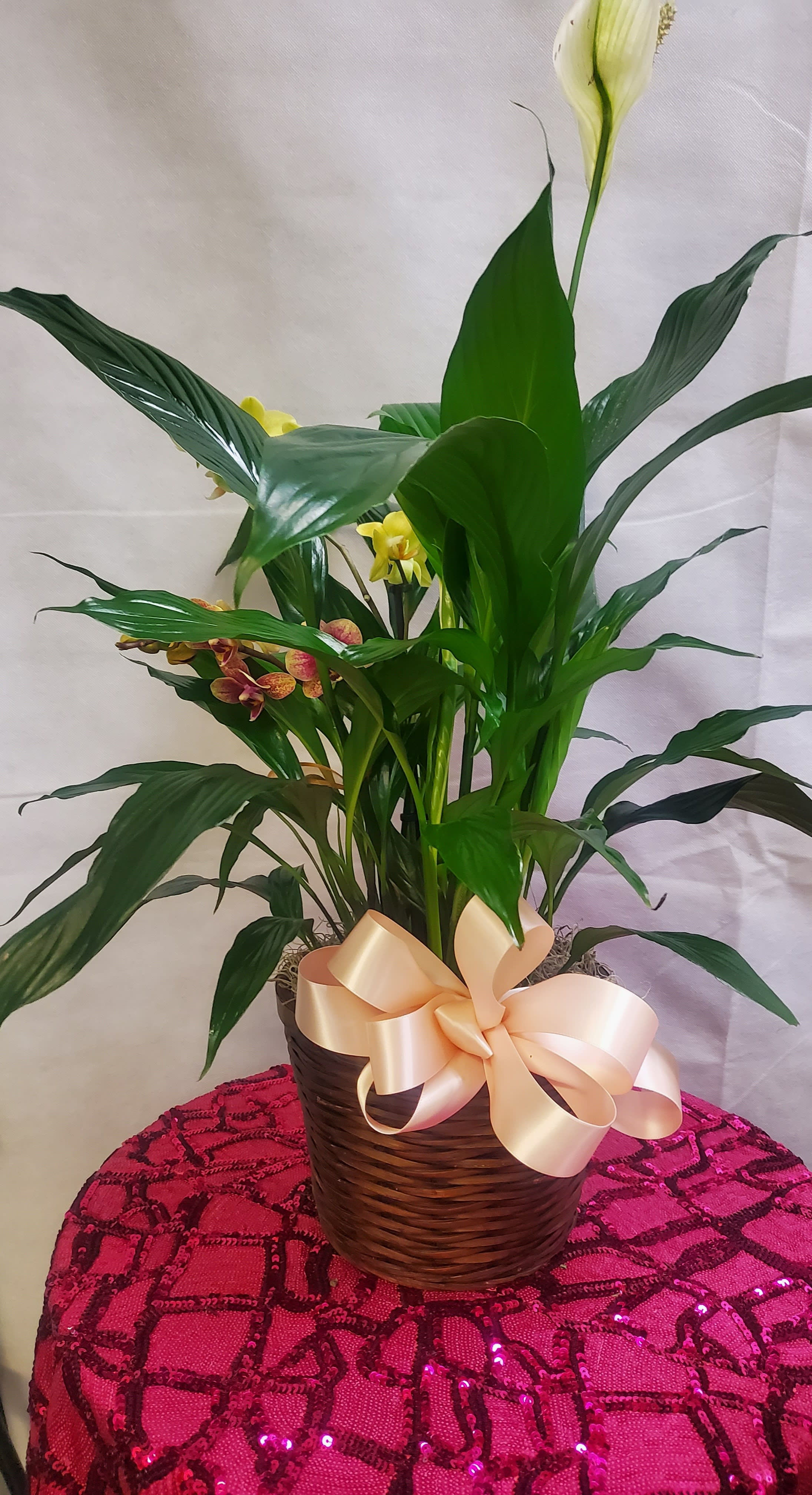 Lusterous Lovlies  - This arrangement of greenery and lilies gives a peaceful feeling for almost any occasion! Peace Lily with Orchid Stems