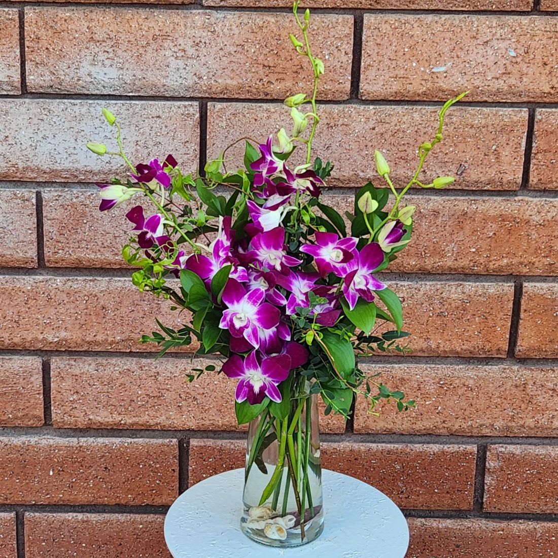Bombay Dendrobium Orchid Waves - Bombay Dendrobium Orchid Waves  Show your love with the graceful beauty of exotic Bombay Dendrobium Orchids. Inspired by tropical shores, this stunning arrangement features vibrant purple orchid blooms cascading among fresh garden greens, elegant curly willow branches, and natural seashell accents. The result is a sophisticated design that evokes waves of romance and island charm.  Often symbolizing love, beauty, and luxury, dendrobium orchids bring a refined elegance to any space. Their delicate blossoms resemble bright purple butterflies in flight, creating a striking display that invites compliments and admiration. Regal and long-lasting, this arrangement makes a perfect gift for someone with sophisticated taste.  Standard size measures approximately 6" (W) x 16" (H). Deluxe and Premium versions offer a fuller display with additional orchid stems for even greater impact.  Available Sizes:  • Standard – 3 Stems of Purple Dendrobium Orchids, Fresh Garden Greens, Curly Willow Branches &amp; Seashells – Slim Glass Vase  • Deluxe – 5 Stems of Purple Dendrobium Orchids, Fresh Garden Greens, Curly Willow Branches &amp; Seashells – Cylinder Glass Vase  • Premium – 10 Stems of Purple Dendrobium Orchids, Fresh Garden Greens, Curly Willow Branches &amp; Seashells – Cylinder Glass Vase  Exotic, elegant, and unforgettable, this orchid arrangement brings a touch of tropical luxury to any occasion.