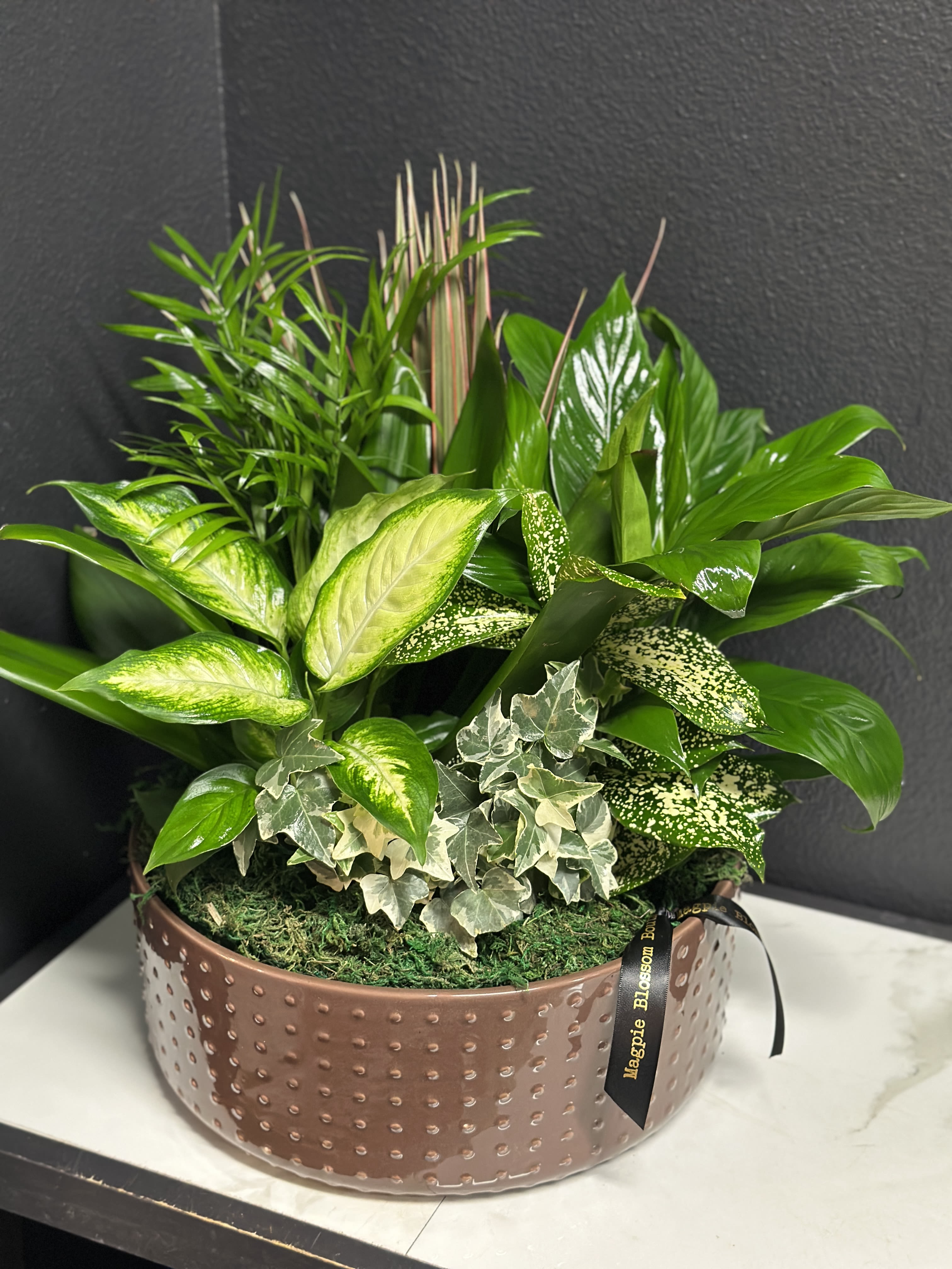 12" Ceramic Dish Garden  - This lovely garden features a variety of easy to care for houseplants planted in a 12" ceramic dish. Pot color and plant varieties will vary.  Overall design is approximately 18"H x 16" W