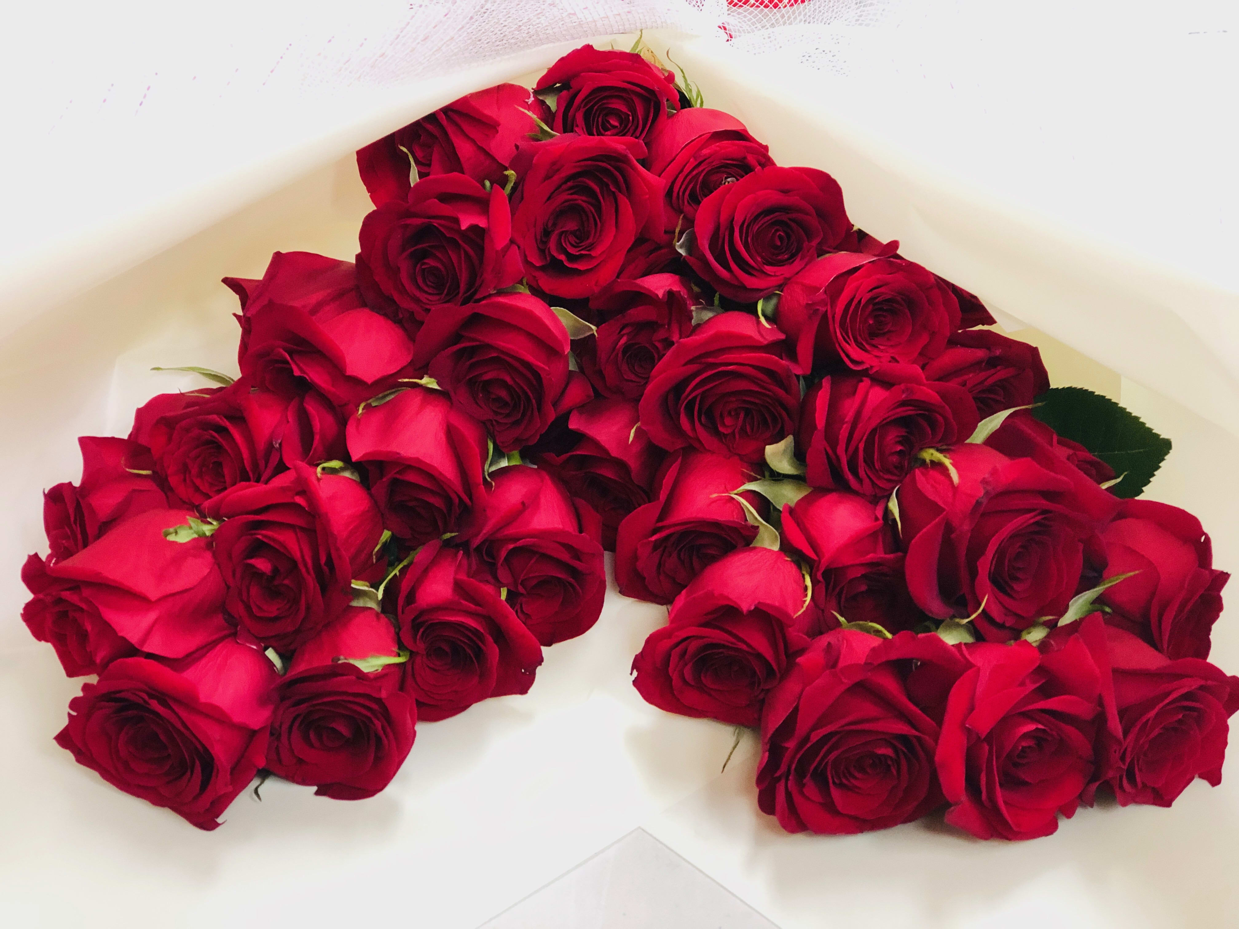 Heart of Red Roses  - 32 Fresh red roses long stem as  heart shape ,wrapped  in Korean paper very elegant and stylish 