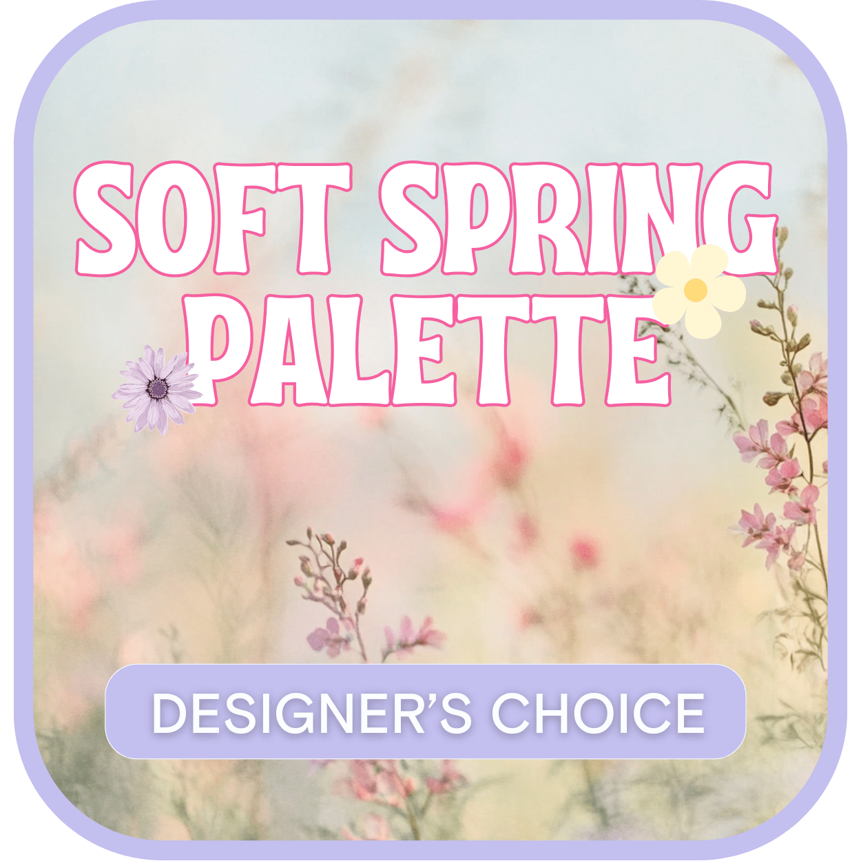 Designer's Choice Spring Arrangement - Looking for the most value in sending flowers? Let our professional floral designers create an elegant bouquet of Spring flowers.
