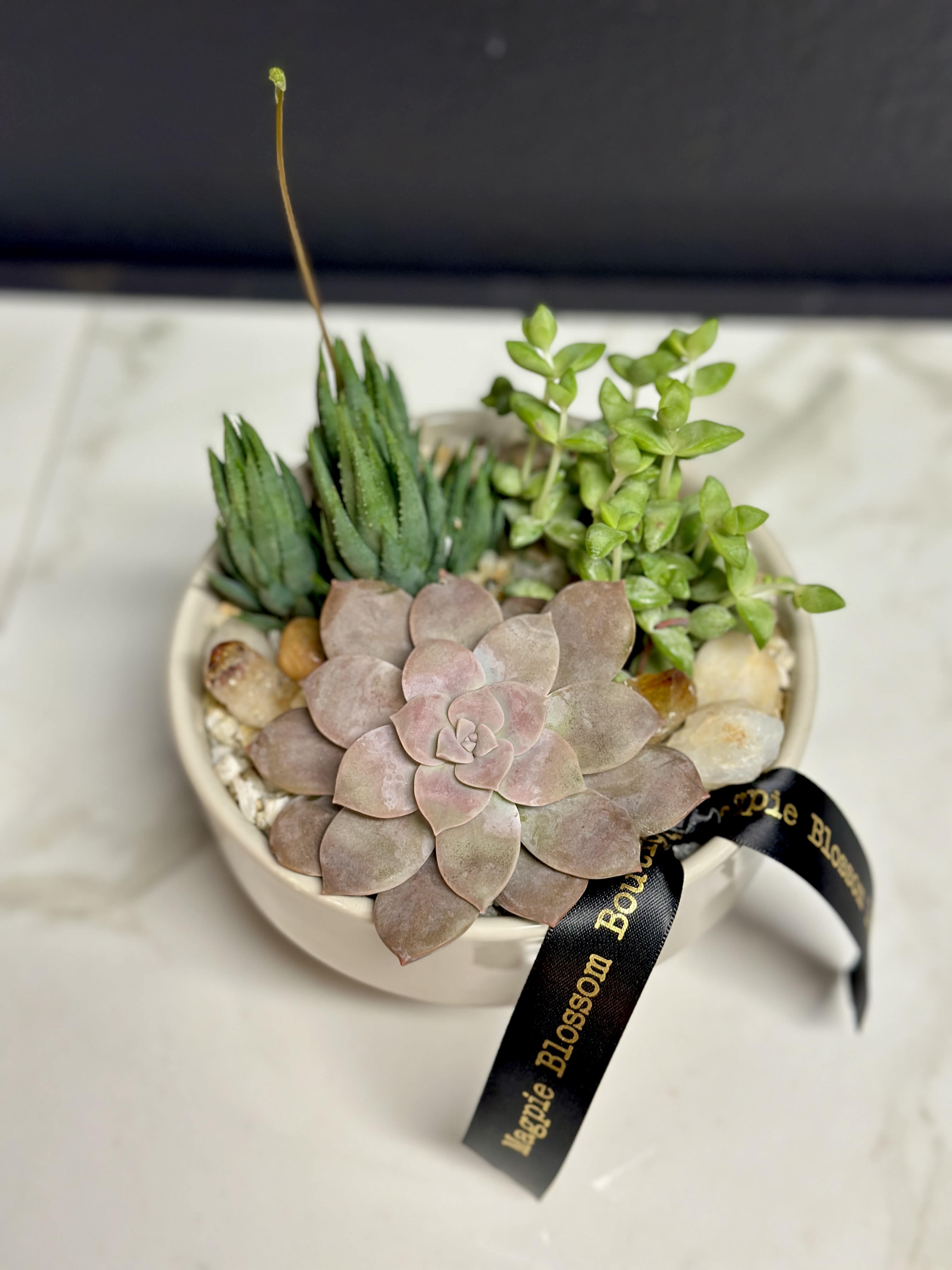 The Ladera  - A petite succulent garden in a tan ceramic bowl.  Dimensions: Approximately 6" x 6"