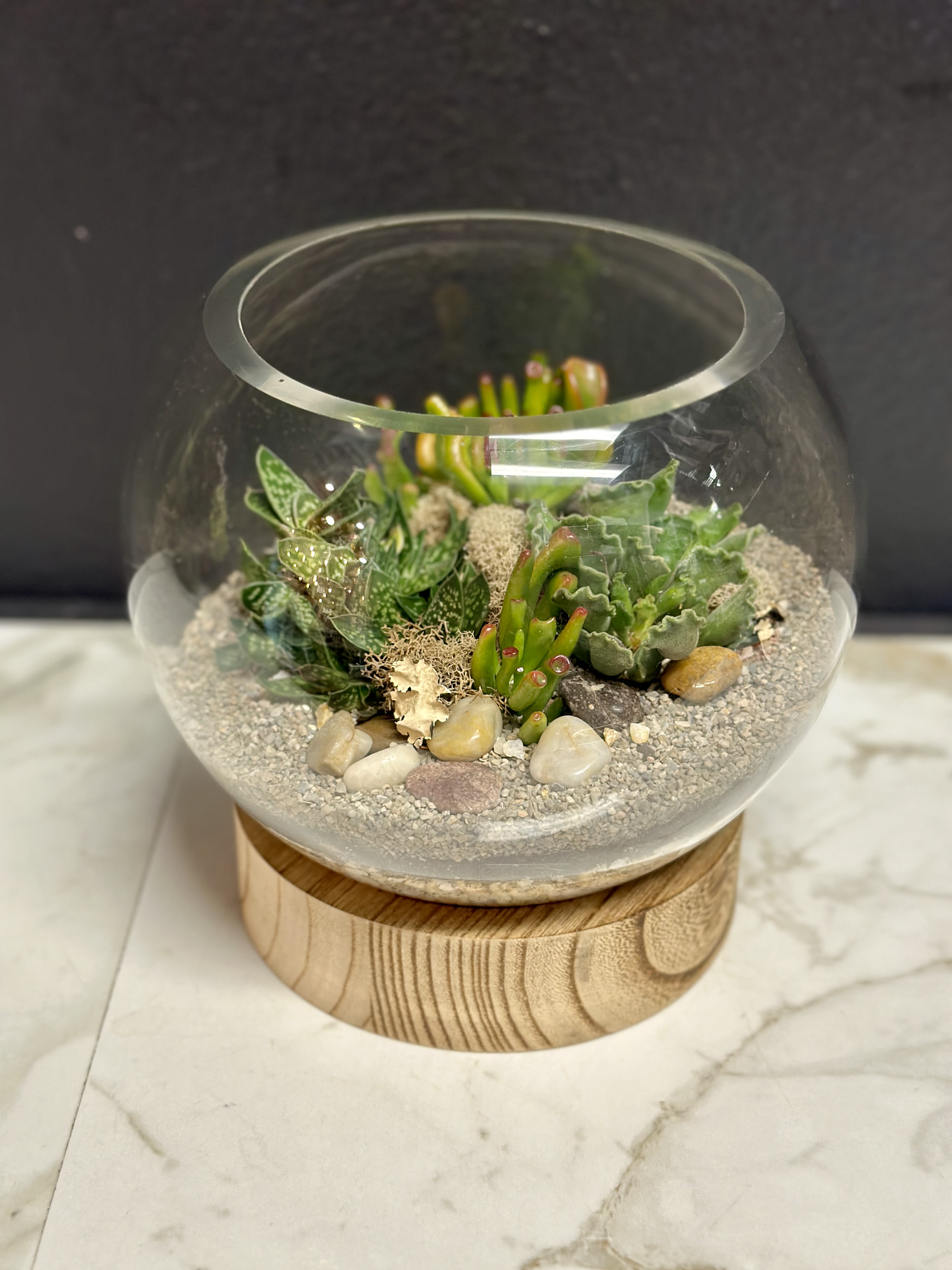 Orb Succulent Terrarium  - Add a touch of nature to any space with our Orb terrarium. A stunning arrangemnt of succulents is enhanced with pebbles &amp; natural accents. Glass Orb terrarium with wood base.   Dimensions | Approximately 8x8