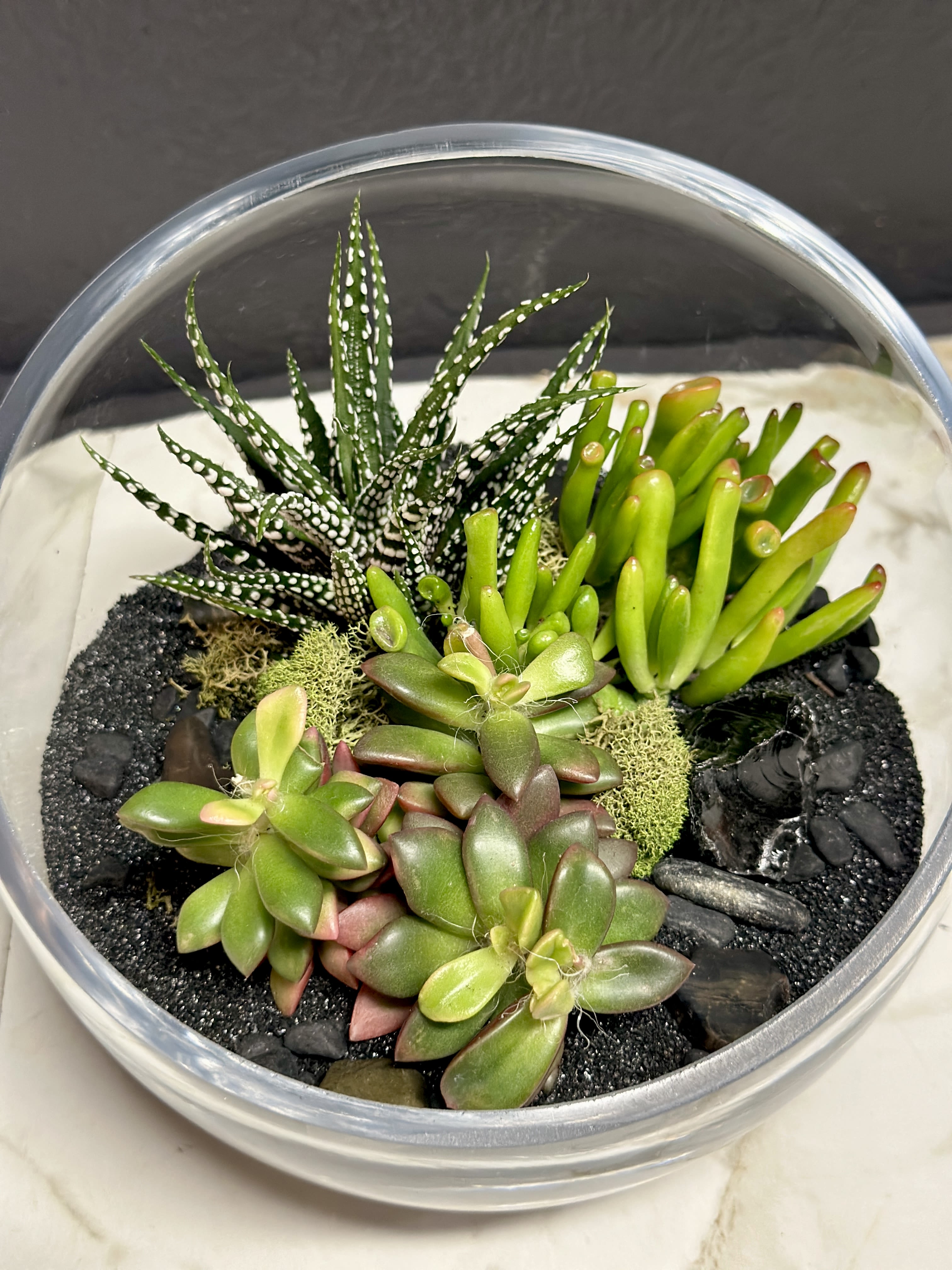 Slant Terrarium - Add a touch of nature to any space with our slant terrarium. A stunning arrangement of succulents is enhanced with pebbles &amp; natural accents.   Dimensions | Approximately 6 x 7