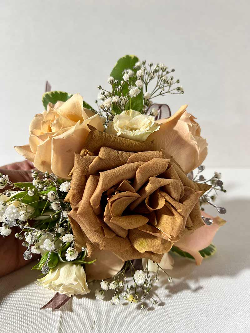 Bouquet of tan and cream roses with baby's breath