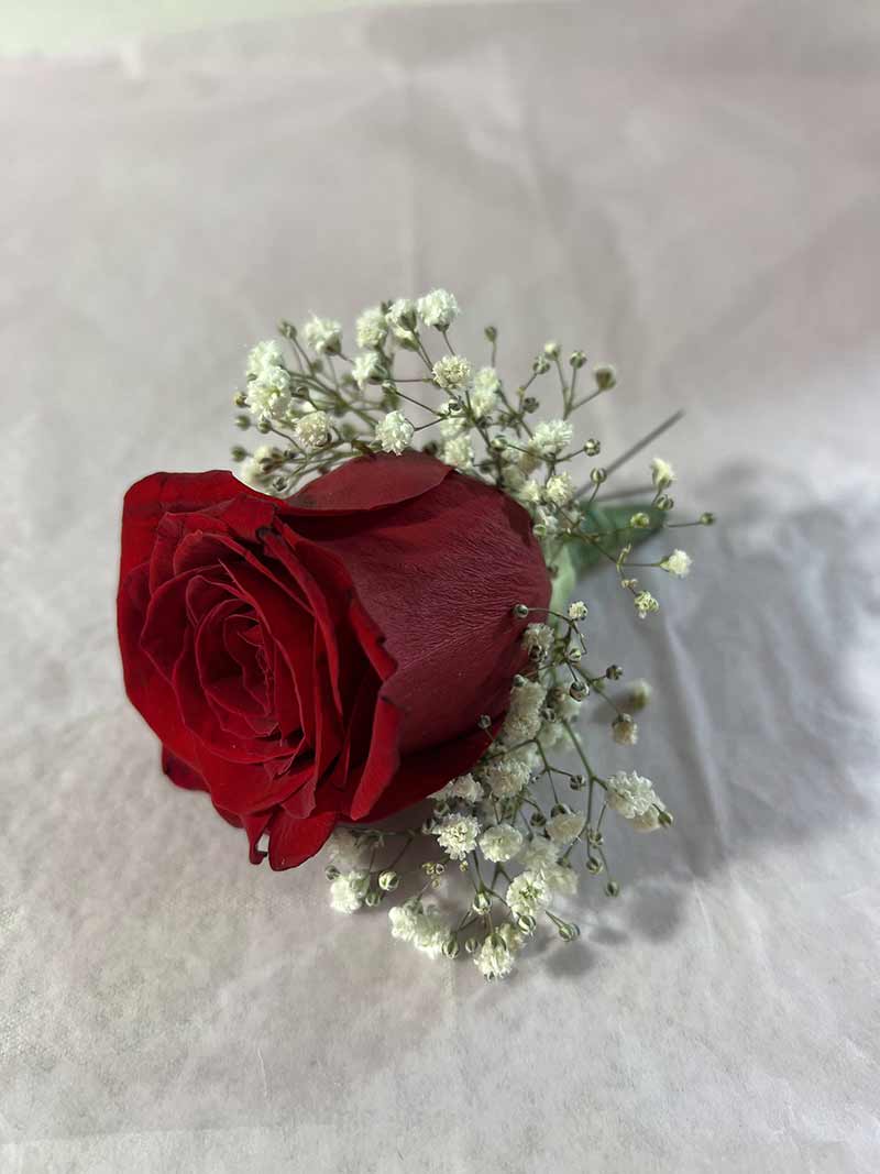 Single red rose with small white filler flowers