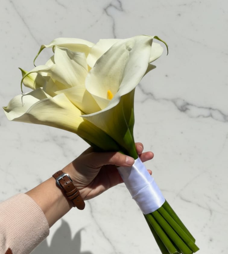 Soft Harmony Lilies - A greaceful hand tied bouquet featuring elegant white clla lilies arranged in a clean and modern style. The stems are neatly gathered and wrapped with a soft white ribbon, giving the bouquet a natural and sophisticated finish. Un ramo atado con gracia que presenta elegantes lirios blancos dispuestos en un estilo limpio y moderno. Los tallos están cuidadosamente reunidos y envueltos con una suave cinta blanca, dando al ramo un acabado natural y sofisticado.