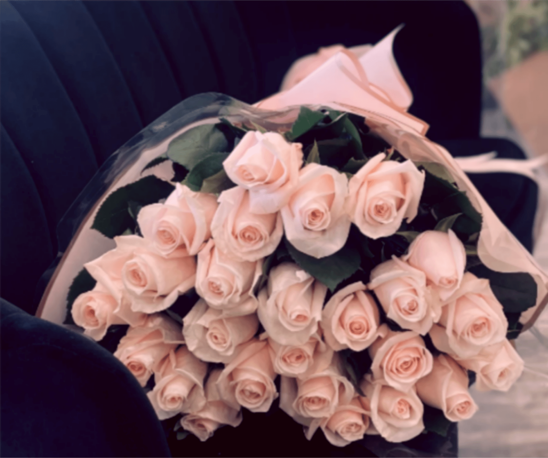 Large bouquet of pale blush roses wrapped in clear cellophane and paper on a dark seat