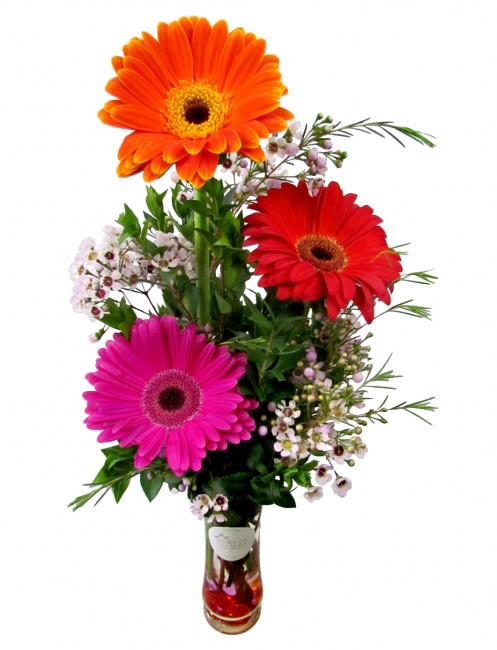 Tall bud vase with orange, red, and pink gerbera daisies accented by tiny white blossoms.