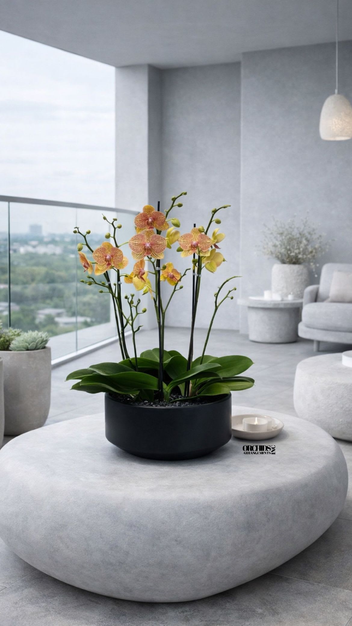 Potted orchids with yellow and peach blooms in a black planter