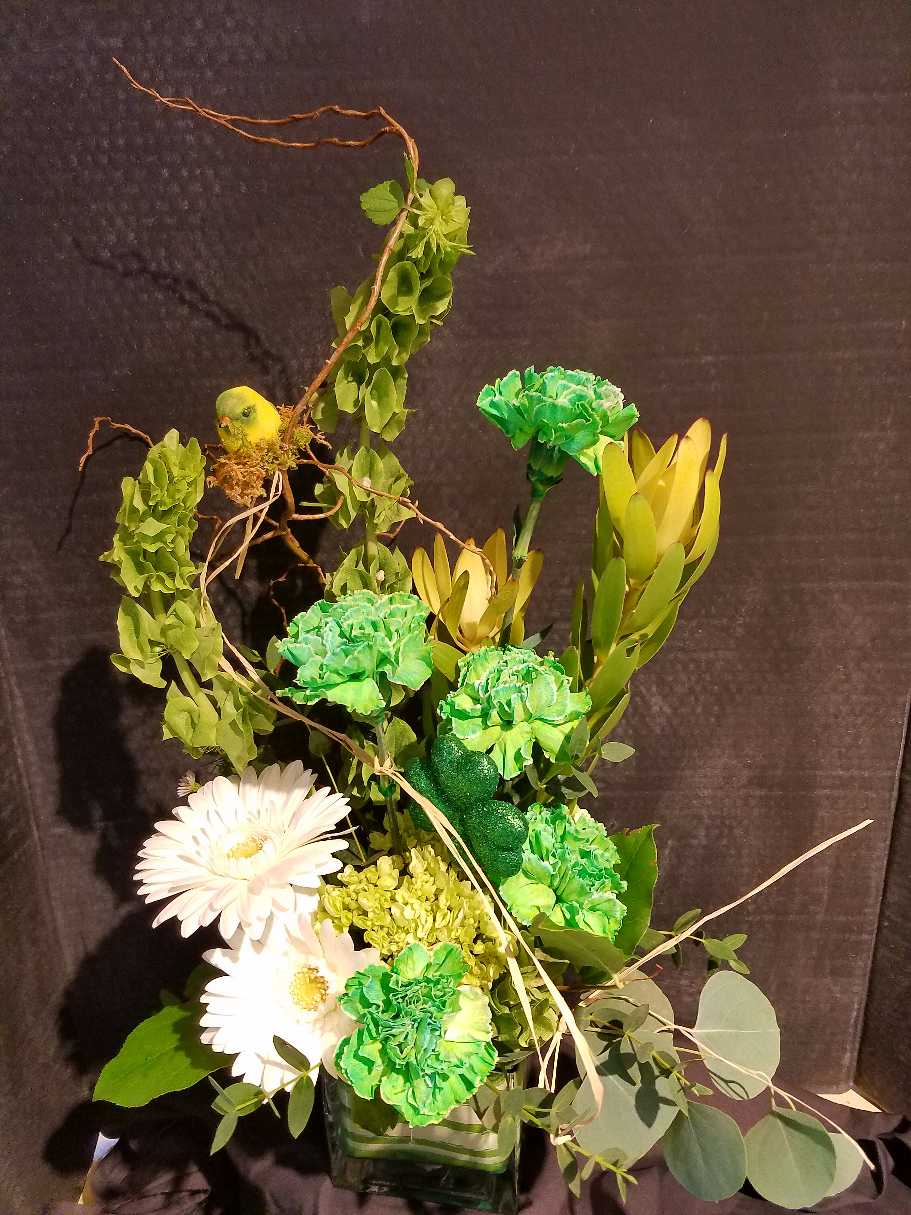 Eckert Florist's Luck Of The Leprechaun Bouquet **LOCAL DELIVERY ONLY  - Send someone "The Luck of the Irish" with this St. Patrick's Day arrangement. This bouquet features green carnations, white flowers and lush greenery accents. *Flowers may vary  **LOCAL DELIVERY ONLY
