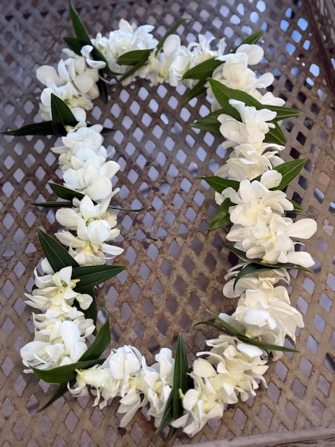 Single white orchids lei, with greens  - A graceful white single lei featuring a delicate strand of fresh white blooms paired with soft greenery.