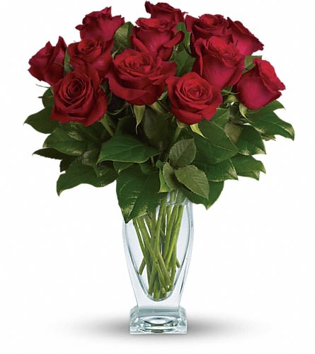 Teleflora's Rose Classique - Dozen Red Roses - Red roses have symbolized love and romance for centuries. One need only gaze at a classic red rose arrangement like this one to see why. Red roses are stunning dramatic and they say so much - without saying a word. A dozen red roses with garden greens are hand-delivered in a fashionable Couture Vase. Classic and romantic.Approximately 15" W x 17" H Orientation: All-Around As Shown : T65-2ADeluxe : T65-2BPremium : T65-2C