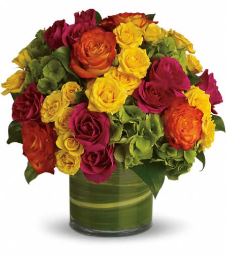 Blossoms in Vogue - Blow someone away with a bouquet that has so much style? all it needs is its own runway. Brilliant green hydrangea hot pink and bi-color roses hot pink and yellow spray roses and greens are hand-delivered in stunning style: a wide cylinder vase that's been elegantly lined with leaves. This bouquet is a singular sensation!Approximately 13" W x 12" H Orientation: All-Around As Shown : T74-1ADeluxe : T74-1BPremium : T74-1C