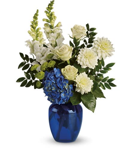 Ocean Devotion - Sending this brilliant blue and white bouquet will surely garner oceans of appreciation from whoever receives it. Dazzling blue hydrangea green roses and button spray chrysanthemums divine white dahlias and snapdragons plus huckleberry arrive in a striking cobalt vase.Approximately 14" W x 20" H Orientation: One-Sided As Shown : T163-1ADeluxe : T163-1BPremium : T163-1C