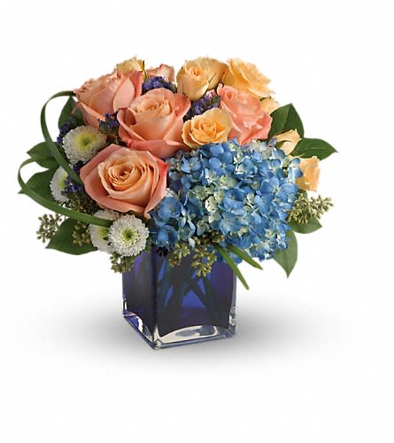 Teleflora's Modern Blush Bouquet - Send these fashionable flowers on any occasion that calls for high style! Lush and luxurious this chic mix of hydrangea and roses is hand-delivered in a bold blue glass cube vase for a gorgeous gift they won't forget. This chic bouquet includes blue hydrangea peach roses peach spray roses white matsumoto asters blue sinuata statice seeded eucalyptus lily grass and lemon leaf. Delivered in a blue cube vase. Approximately 12 1/2" W x 11 1/2" H Orientation: All-Around As Shown : T600-4ADeluxe : T600-4BPremium : T600-4C