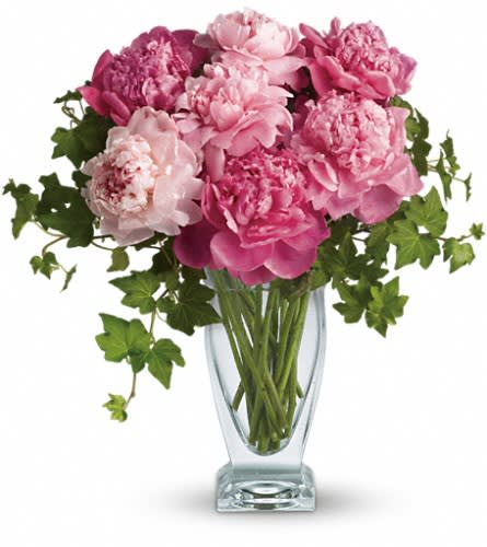 Teleflora's Perfect Peonies - It's no wonder that the peony has been favored by First Ladies famous ladies and probably by a lady you know! They're so gorgeous and so pretty in pink. The big blossoms create a ripple effect of beauty wherever they are. Bright pink peony blooms are delivered in an exclusive Couture Vase.Approximately 15" W x 15 1/2" H Orientation: All-Around As Shown : T144-1ADeluxe : T144-1BPremium : T144-1C