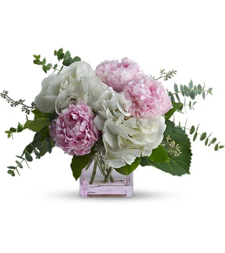 Teleflora's Pretty in Peony - These pretty pink peonies must feel like they've landed in paradise. And perhaps they have joined as they are by dazzling hydrangea blooms and greens. Big beautiful pink peony blossoms brilliant white hydrangea and two kinds of eucalyptus are perfectly arranged in a distinctive keepsake cube. It's no wonder so many people believe that the prettiest pink is peony pink.Approximately 17 1/2" W x 12" H Orientation: All-Around As Shown : T145-2ADeluxe : T145-2BPremium : T145-2C