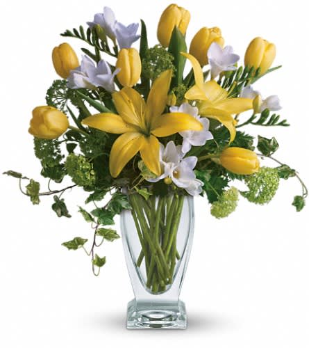 Teleflora's Spring Rhapsody - You're bound to get rave reviews when you send this glorious spring bouquet. Radiant flowers are delivered in an exclusive Couture Vase. Bright yellow tulips and asiatic lilies green viburnum white freesia and ivy are beautifully arranged in a lovely vase. Stylish and spectacular.Approximately 18 1/2" W x 18" H Orientation: All-Around As Shown : T138-1ADeluxe : T138-1BPremium : T138-1C