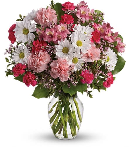 Teleflora's Sweet Tenderness - Let the family know they are in your thoughts and prayers with this beautiful gift of pink and white floral favorites. It will help ease their pain of loss. The beautiful bouquet includes pink alstroemeria pink carnations hot pink miniature carnations white daisy spray chrysanthemums and white waxflower accented with assorted greenery. Delivered in a clear glass rose vase.Approximately 15 1/2" W x 18" H Orientation: One-Sided As Shown : T259-1ADeluxe : T259-1BPremium : T259-1C