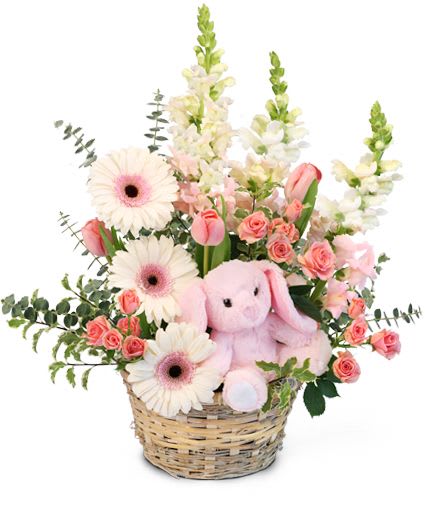 TINY PINK BLESSING BASKET OF FLOWERS - This lovely basket arrangement will take their breath away! With exquisite white gerberas, beautiful pink snapdragons, gorgeous light pink tulips, vibrant pink spray roses, a soft pink plush, and more, Tiny Pink Blessings will bring joy to everyone who receives it. Send your loved ones this magnificent basket today! 