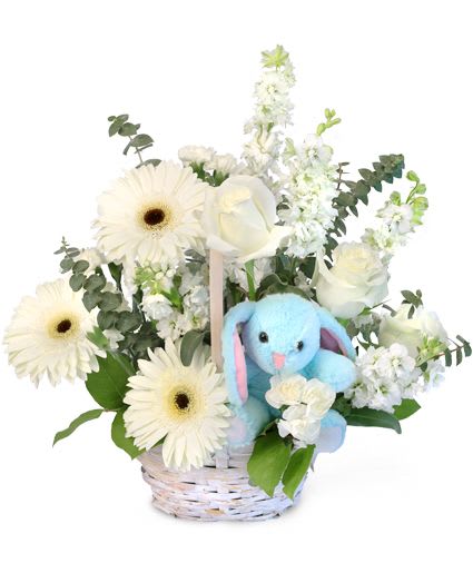 TINY BLUE BLESSING BASKET OF FLOWERS - Tasteful and timeless, this gorgeous basket is sure to inspire! Featuring gorgeous white gerberas, lovely white larkspur, beautiful white mini carnations, stunning white roses, a soft blue plush, and more, Tiny Blue Blessings will be a stylish addition to any room. Send some blessings to the ones you love today! 