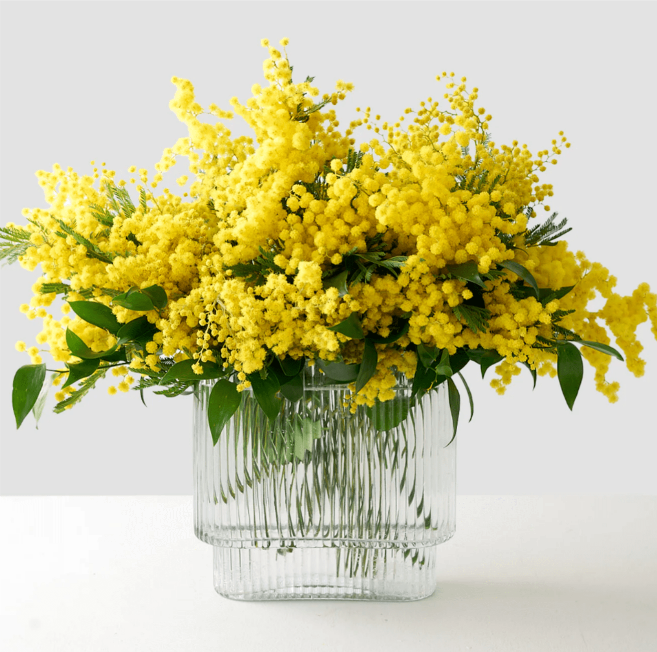 Women's Day - Mimosa Celebration - Send a beautiful lush Mimosa arrangement to the woman in your life that deserves to be celebrated! The custom of giving the Mimosa flowers were intended to be given as a sign of respect and as the Mimosas symbolize appreciation, strength, and solidarity among women all around.