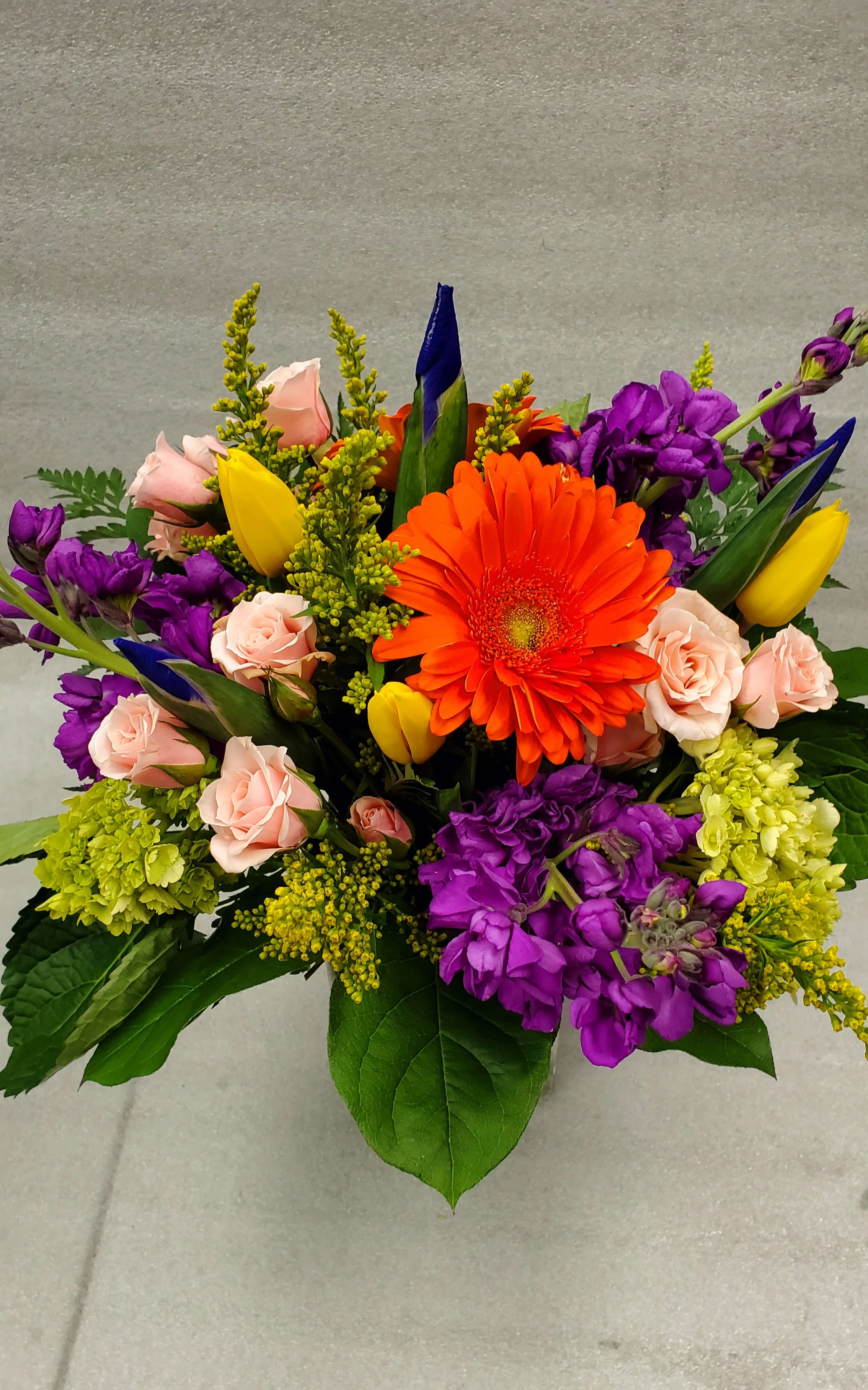 celebrate the day - Bright and cheery flowers can make any occasion special, anytime of year. Gerbera, tulips, iris, stock,  and more.
