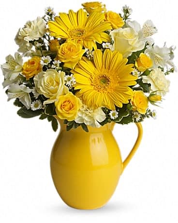 Sunny Day Pitcher of Cheer - This bouquet is just bright for any occasion! A bright and sunny medley of flowers is hand-delivered in a brilliant ceramic pitcher that can be joyfully used over and over again. Light yellow roses and carnations, yellow spray roses, gerberas and alstroemeria, white monte cassino asters and pittosporum arrive in an exclusive yellow keepsake pitcher. Now that's what we call pitcher perfect! 