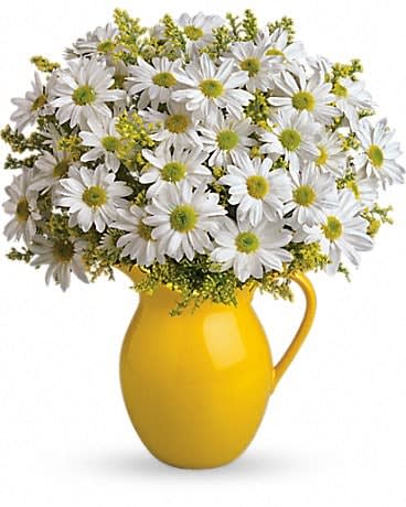Sunny Day Pitcher of Daisies - Picture someone receiving this sunny pitcher of daisies! It's so bright and full of warmth, it's guaranteed to make them smile. Besides being the perfect bouquet for any occasion, the dazzling yellow ceramic pitcher can be used and enjoyed for years to come. Let's hear it for yellow spray roses and cheerful yellow and white daisy spray chrysanthemums plus solidago delivered in an exclusive keepsake vase. 