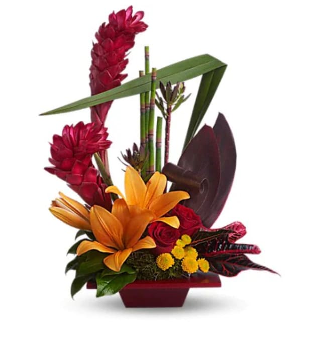 Tropical Bliss - Now this is bliss! This tropical and tasteful creation is a beautiful and dramatic way to say something wonderful without using any words. Dark red roses, orange asiatic lilies, green leucadendron, yellow button spray chrysanthemums, and tropical greens are delivered in a red bamboo dish. Don't miss this chance to send bliss! 