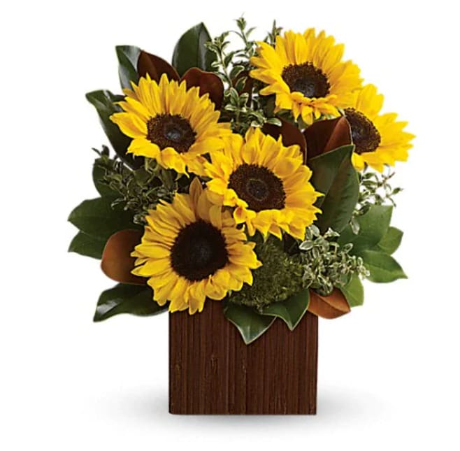 You're Golden Bouquet - Rise and shine! Send her a sunrise with this golden bouquet of bright-as-day sunflowers. It's the perfect gift for the light of your life. Bold, bright sunflowers are arranged with delicate oregonia, magnolia leaves, lemon leaf and moss. Delivered in a Bamboo Cube. 