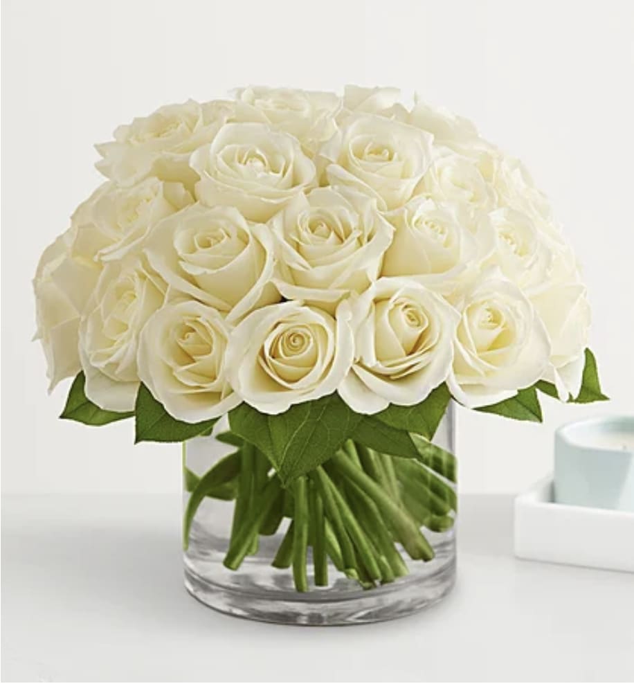 ROSES IN WHITE - WE LOVE PLAYA BLANCA ROSE, long lasting in a pave design and clear glass cylinder vase