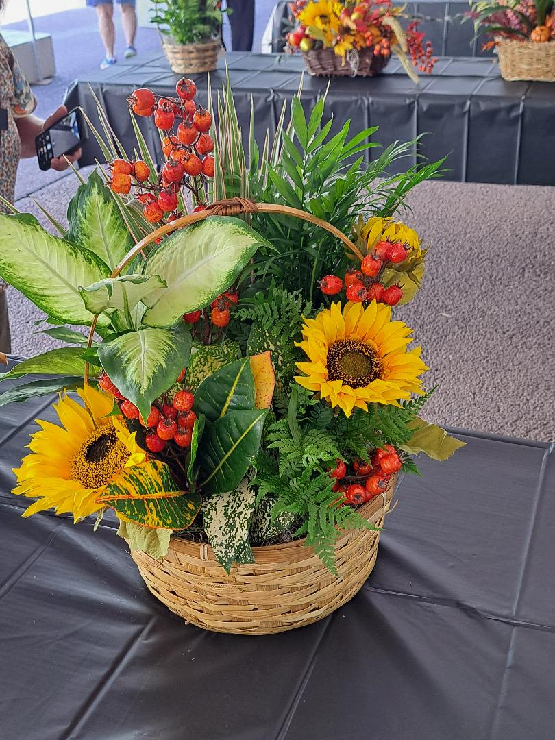 dishgarden with sunflowers - nice variety of plants with sunflowers and other various flowers.