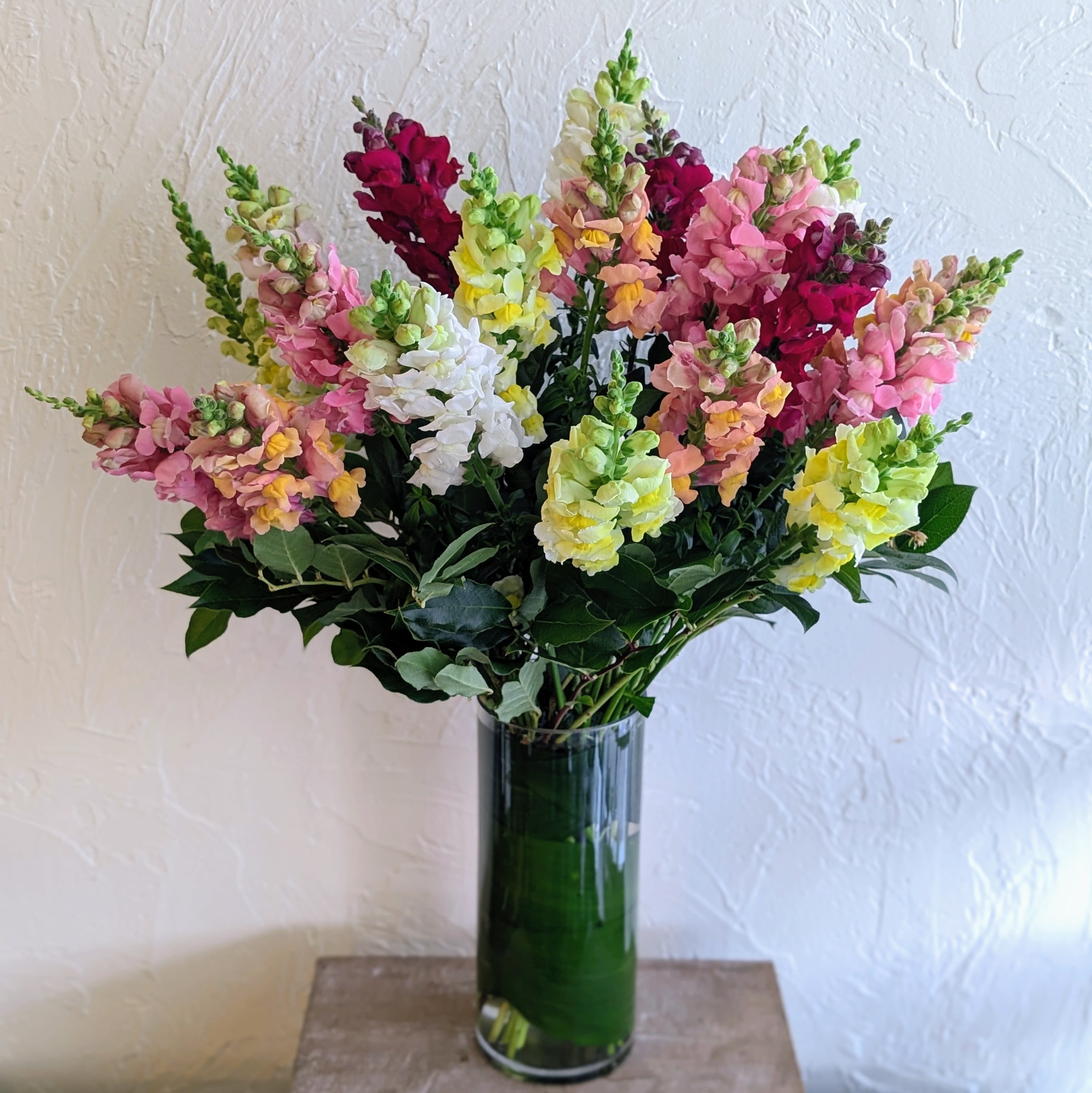 Awww Snapdragon! - Sweet, simple SNAP! This straight forward arrangement offers the often overlooked beauty of elegant snapdragons delivered right to your door. Accented with just a hint of greens, these long stemmed beauties are sure to please.  Please note: Color availability varies from day to day. Any requests for specific colors will be taken into account but can not be guaranteed. If you require specific colors please call our shop directly to arrange for a special order.  