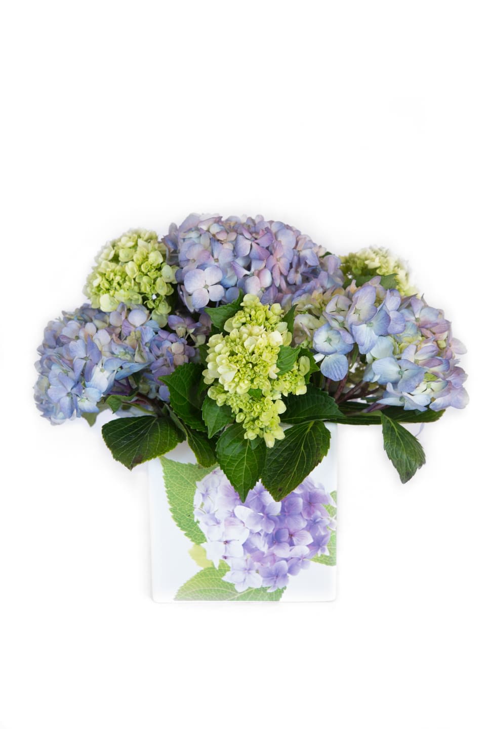 Cape Cod  - Massed blue, white and green hydrangea blooms put you in mind of the Cape, no matter where you are.  Arranged in a clear glass vase.