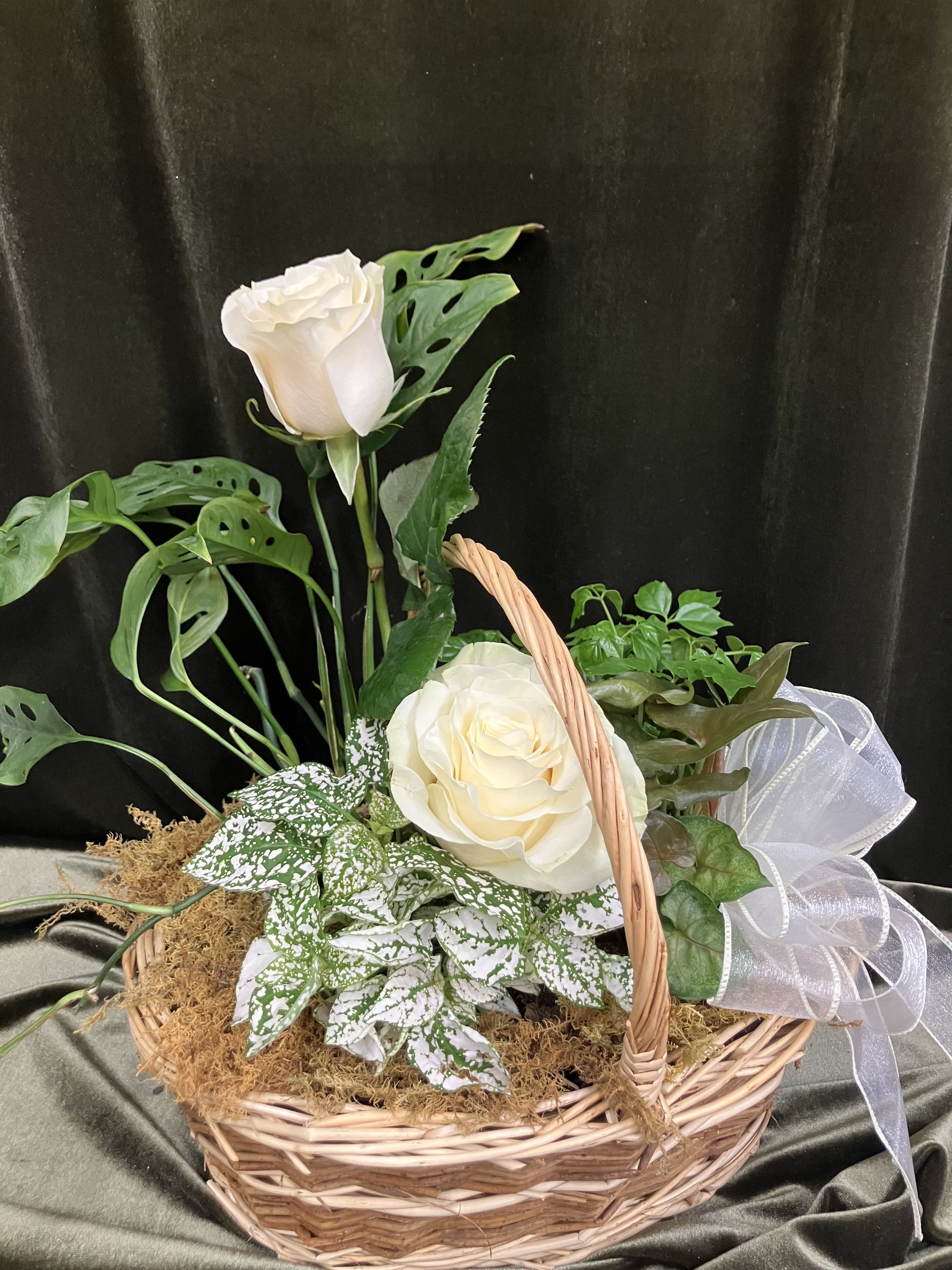 Green Plants with White Roses - This is a beautiful basket of green plants, and two white roses. The plants will vary. 