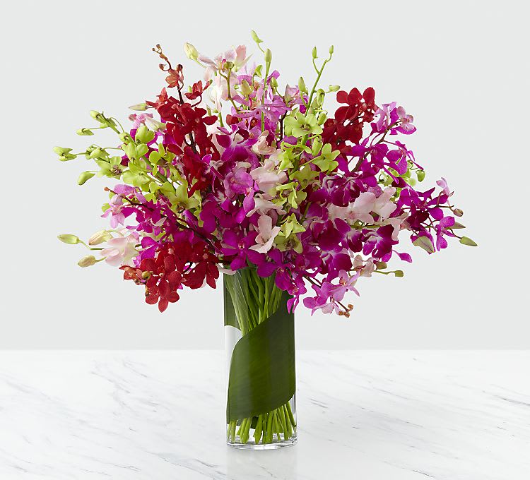 Luxury Orchid Bouquet - Let your sweet sentiments shine with vibrant color and exuberant elegance. An assortment of brilliant Dendrobium Orchids in the shades of red, lavender, green, fuchsia, hot pink, and pale pink are brought together to create a simply fantastic display. Wrapped in a single tropical leaf and perfectly arranged in a superior clear glass vase, this bouquet will delight your special recipient with its exquisite beauty and long-lasting blooms. Includes: 6 pale pink Dendrobium Orchids, 6 hot pink Dendrobium orchids, 5 fuchsia Dendrobium Orchids, 5 green Dendrobium Orchids, 4 lavender Dendrobium Orchids, 4 red Dendrobium Orchids, 1 Aspidistra Leaf, and a 10-inch superior clear glass cylindrical vase. Approximately 22"H x 22"W.