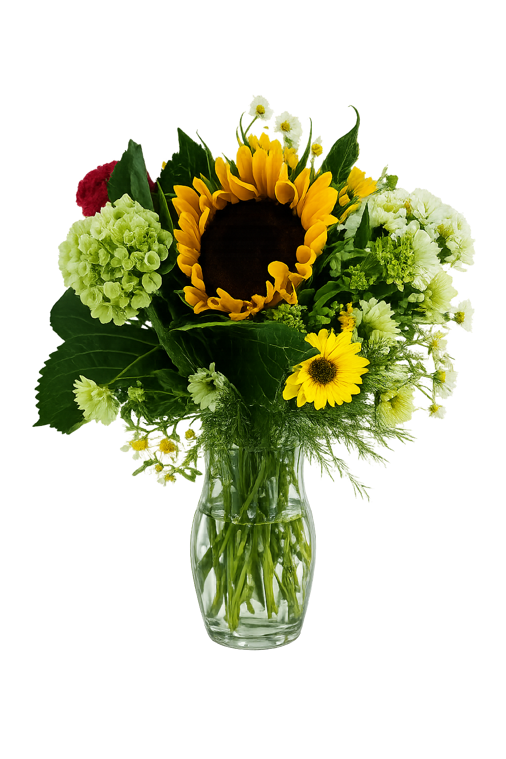 Summer Garden Deal of the day with fudge - Sunflowers, Hydrangea, daisies, garden flowers arranged in a mason jar with Ralphina's homemade fudge