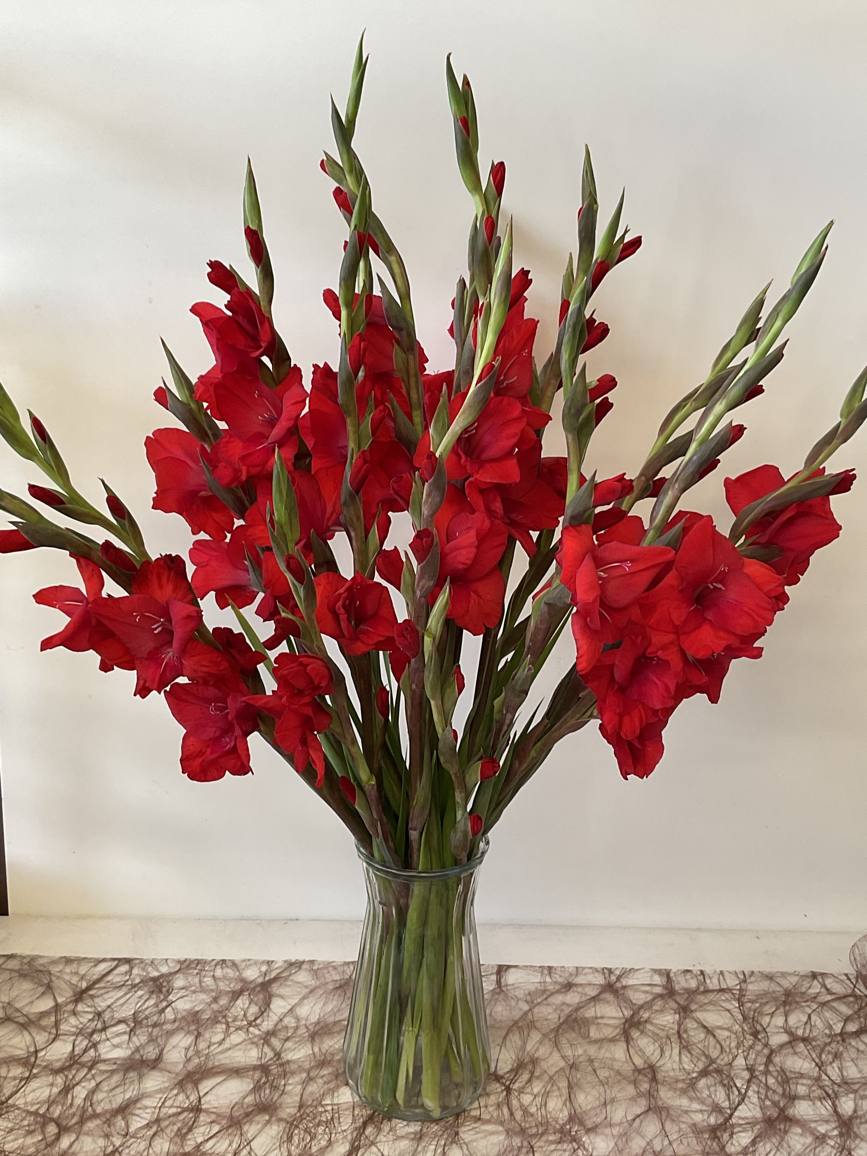 Red gladiolus stems in a clear glass vase