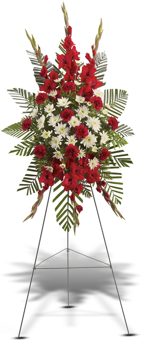 STRENGTH &amp; SOLACE SPRAY - A beautiful complement to the memorial service, this gorgeous spray of red and white floral favorites will be deeply appreciated by the family during their time of loss.  The magnificent spray includes red gladioli, red carnations and white cushion spray chrysanthemums, accented with emerald palm and leatherleaf fern.