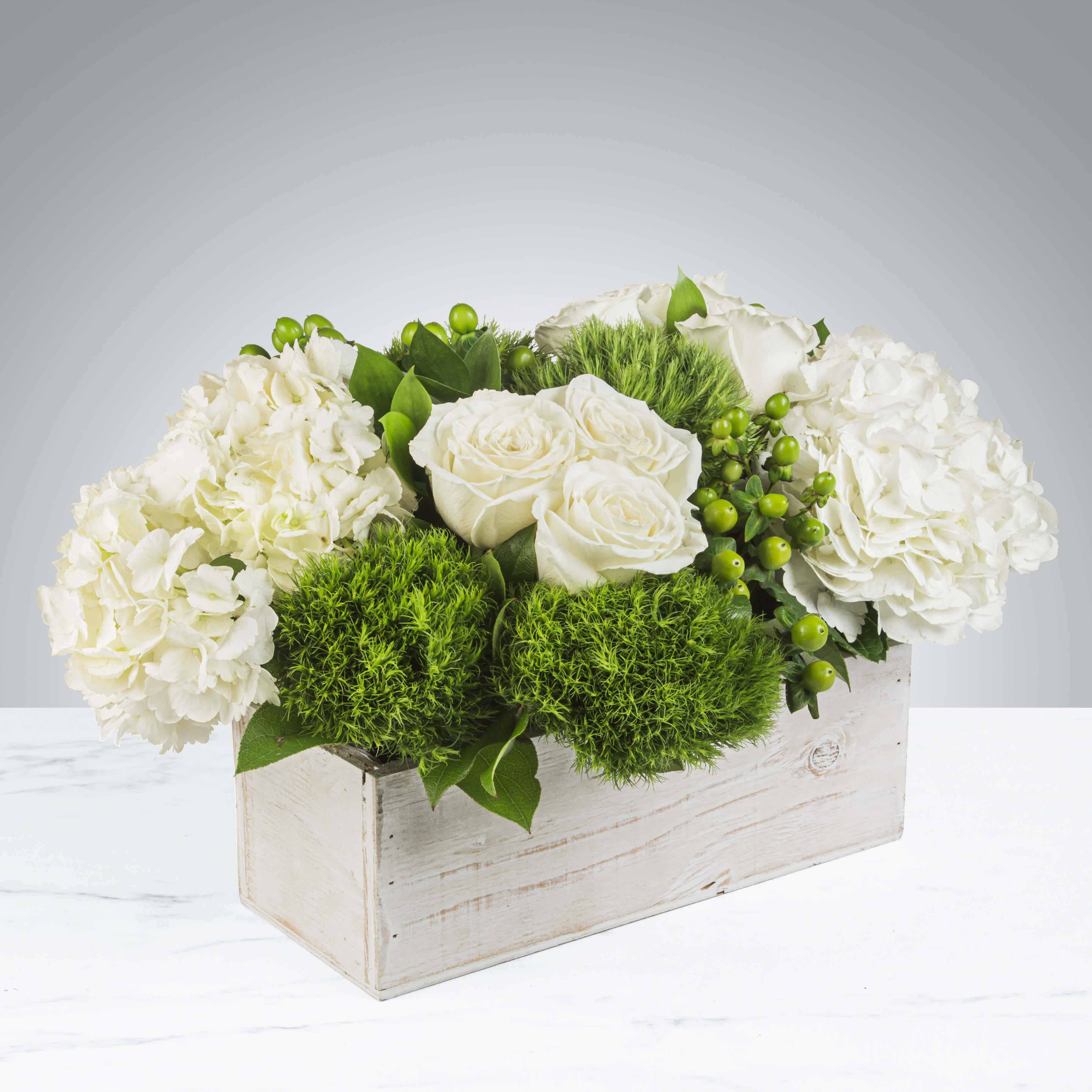 The Hamptons - This crisp white and green arrangement includes roses, dianthus, and hydrangeas. The Hamptons by BloomNation™ is the perfect gift for a Grandparents Day, Earth Day, or just because. It's size and shape also make it a fitting centerpiece for any table.   APPROXIMATE DIMENSIONS 18" W X 10" H