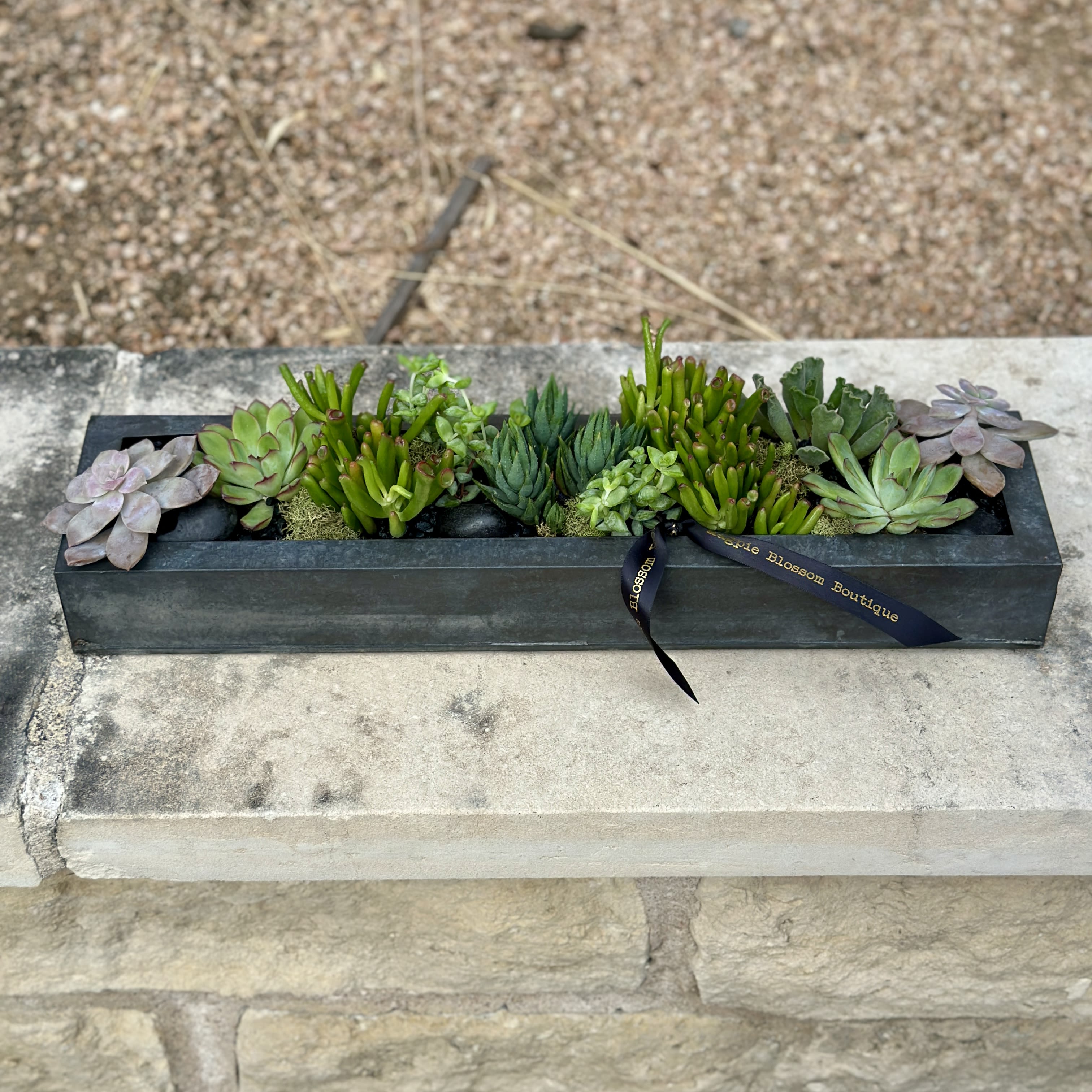The Belvedere  - The Belvedere garden is a sleek metal rectangular vessel, adorned with a vibrant mix of lush succulents and striking black rocks and natural accents.   Dimensions | Approximately 20x5x5
