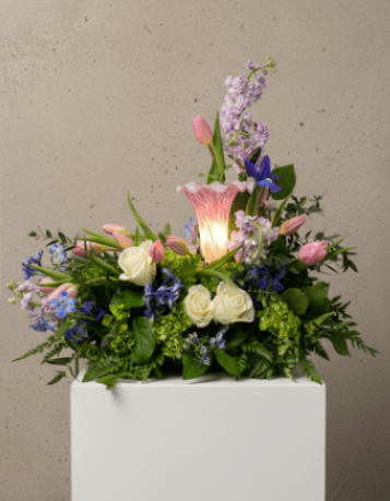 Peaceful Light Tribute - Soft, elegant, and full of quiet beauty, Peaceful Light Tribute is a heartfelt sympathy arrangement designed to offer comfort and remembrance. At the center of the design is a gentle glowing light surrounded by graceful white roses, delicate pink tulips, and touches of lavender stock and blue delphinium. Lush green hydrangea and fresh seasonal greenery add fullness and natural texture, creating a serene garden-inspired design.  The soft illumination symbolizes hope, remembrance, and the enduring light of a life well lived. Peaceful Light Tribute is a meaningful expression of sympathy, perfect for memorial services, funerals, or sending comfort to loved ones during a difficult time.