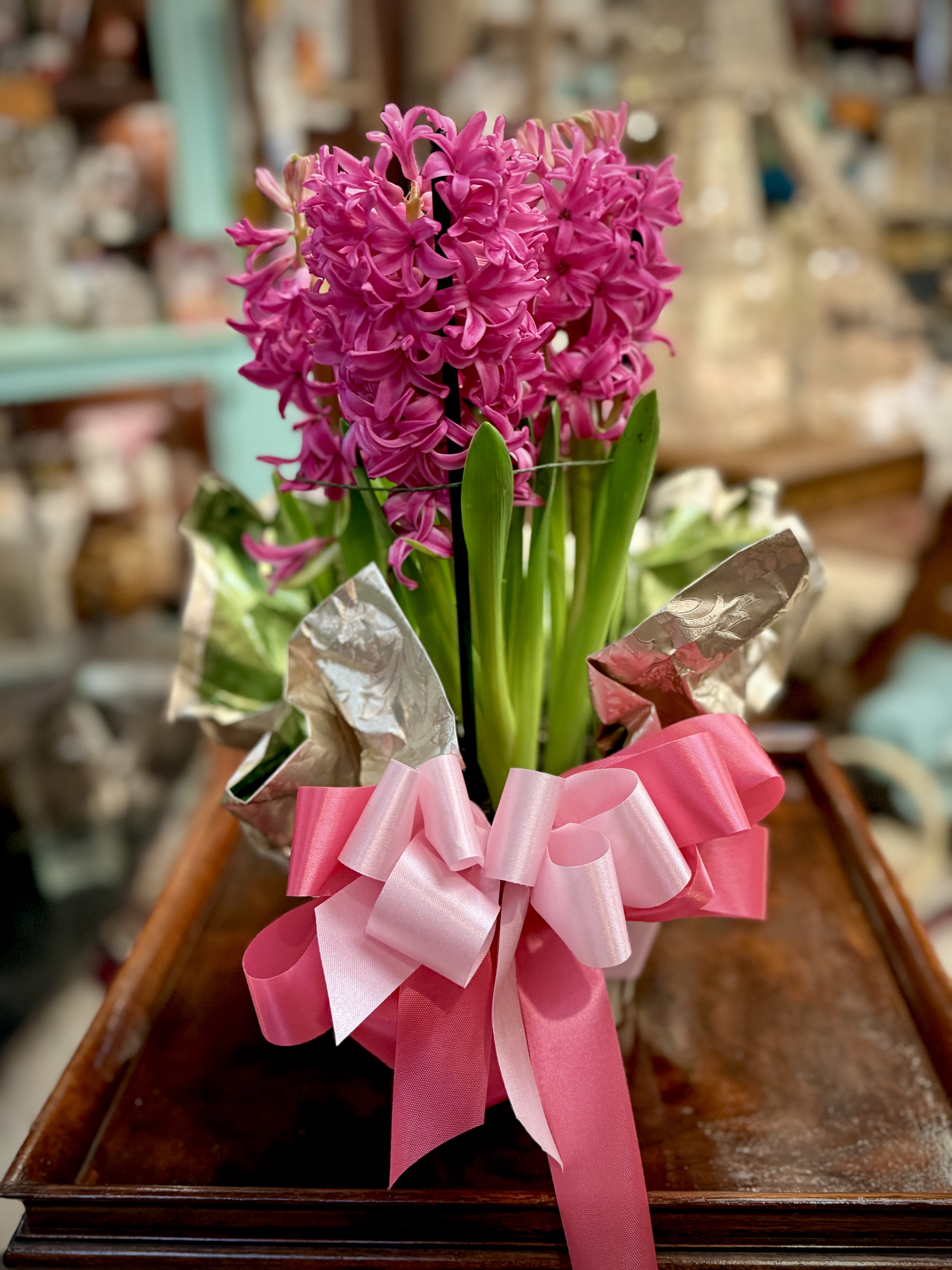 Pink Hyacinth Plant (Only 1 Available) - The intoxicating scent of a hyacinth is truly the scent of Spring. Enjoy this beautiful plant with the coming of warmer weather. Please remember that this is a natural product, and the growth stage may be different than pictured.  We are proud to deliver our flower creations to the Kenosha, Somers, and Pleasant Prairie area. With over 55 years of combined flower design experience in Kenosha, Wisconsin, A Summer's Garden Florist and Gifts is the perfect choice for the freshest flowers, the most creative design, and exceptional customer service.