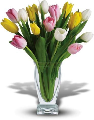 Tulip Treasure -   Blooms this beautiful don't need decoration! Fifteen tantalizing tulips in soft spring colors make a thrilling thank you gift or sweet and innocent reminder of your love or friendship.  Fifteen tulips - in yellow, white and pink - are very simply and elegantly presented in clear glass Couture Vase. 
