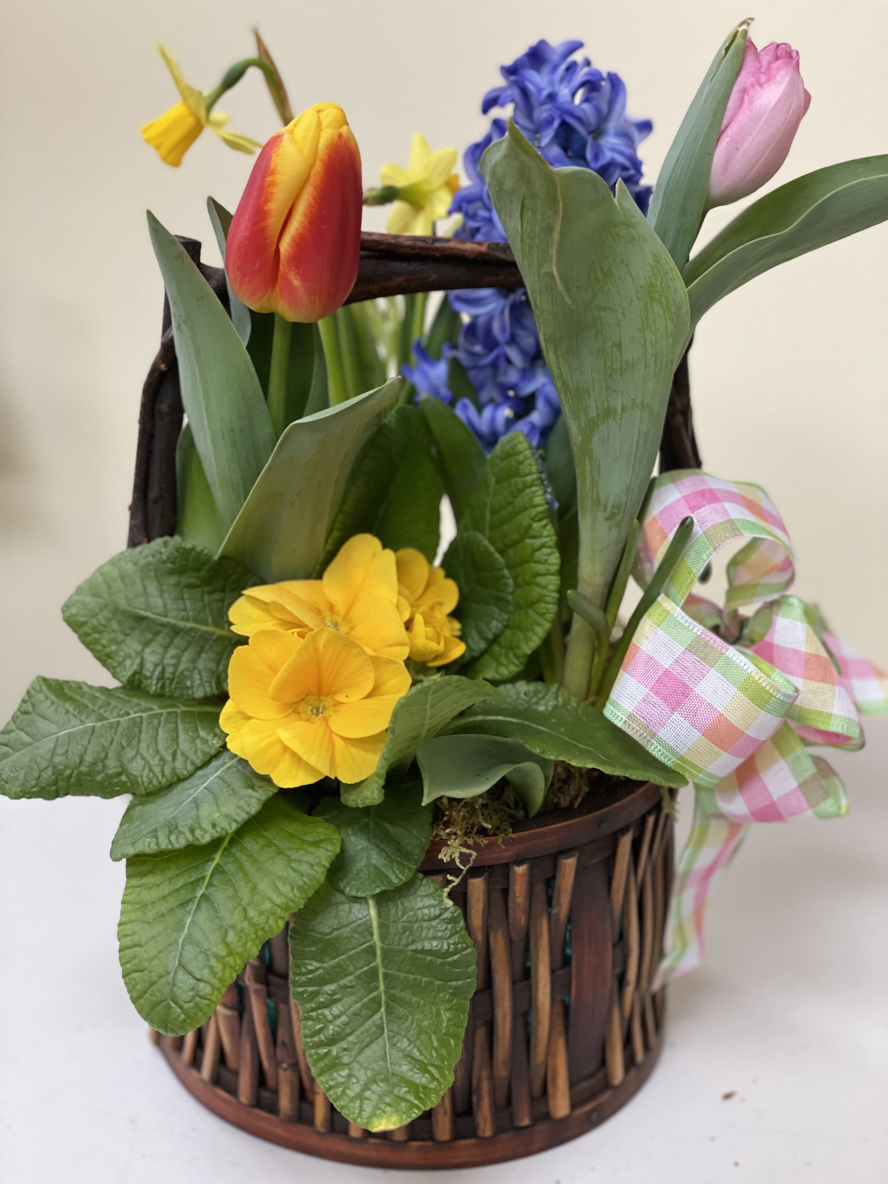 Basket of Spring. - A custom designed Spring basket with a collection of spring bulbs. Every basket will look a little different but will reflect the picture. Give something different to a special person and bring on that spring smile!