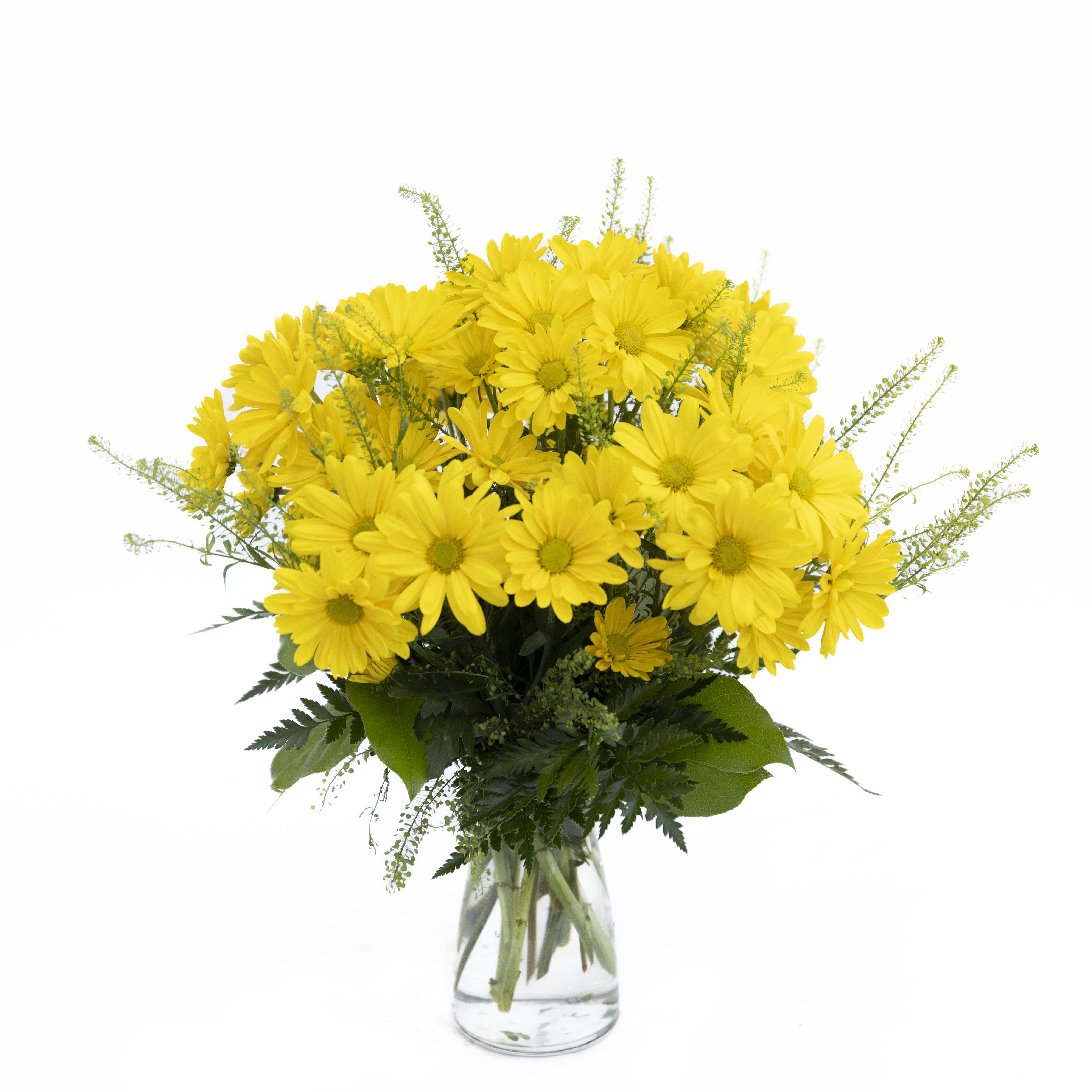Sunny Delight - Sunny Delight is a bright and cheerful arrangement that radiates warmth and happiness. Featuring a lively gathering of vibrant yellow daisies accented with delicate stems of airy lepidium, this design brings a fresh, garden-inspired feel to any space. Arranged in a classic glass vase and finished with lush greenery, its sunny color palette makes it perfect for celebrating joyful occasions, sending encouragement, or simply adding a burst of golden sunshine to someone’s day. 